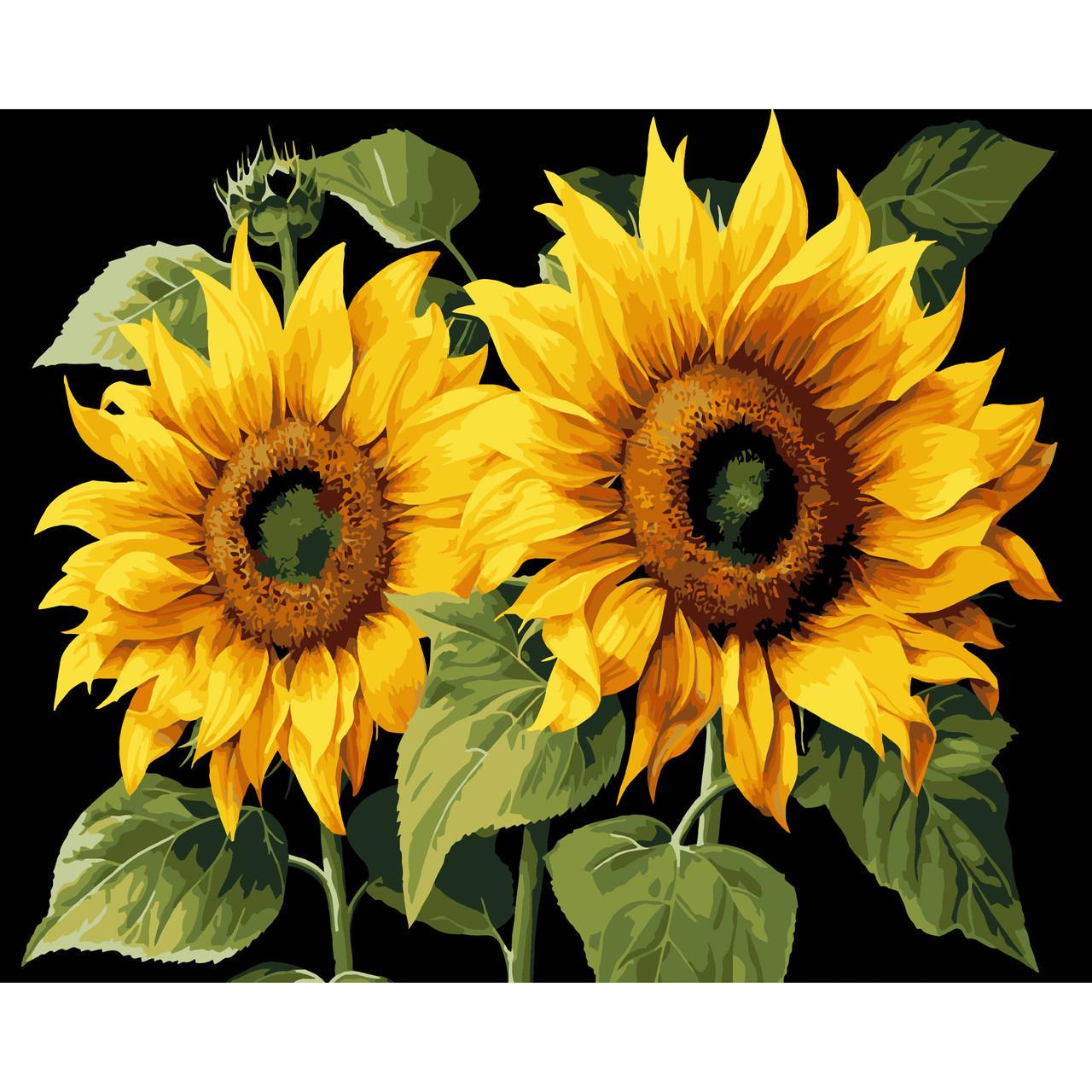 Картина по номерам Strateg Премиум Золотое лето на черном фоне 40х50 см (AH1165)