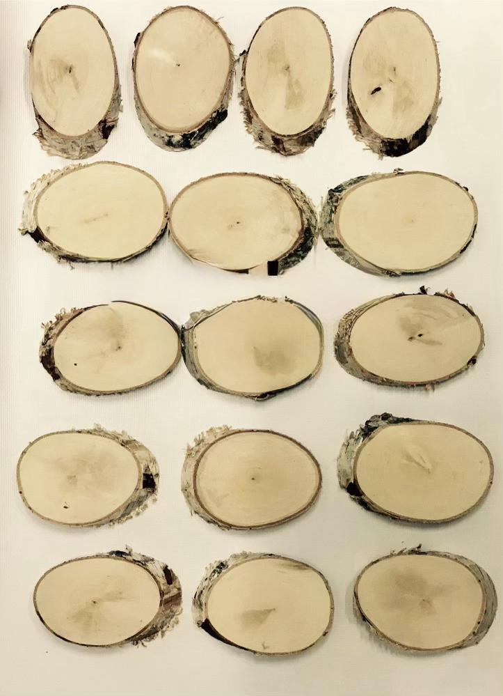 Набор косых срезов дерева 20 шт. (25685572)
