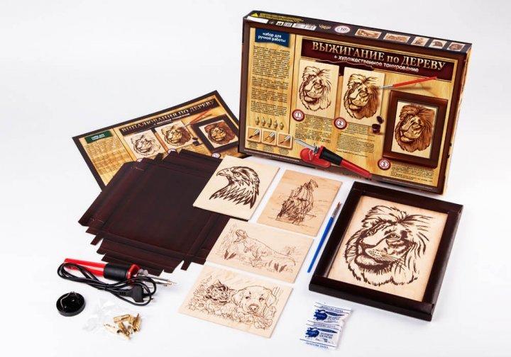 Набор для творчества Danko Toys Выжигание по дереву (5285992)