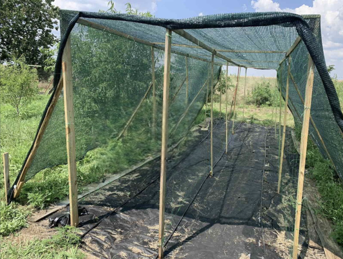 Сетка защитная затеняющая Добра Сіточка 60% 6x10 м - фото 6