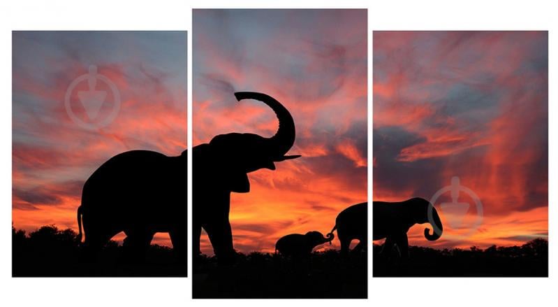 Модульная картина Декор Карпаты 100х53 см Слоны (M3-t196)