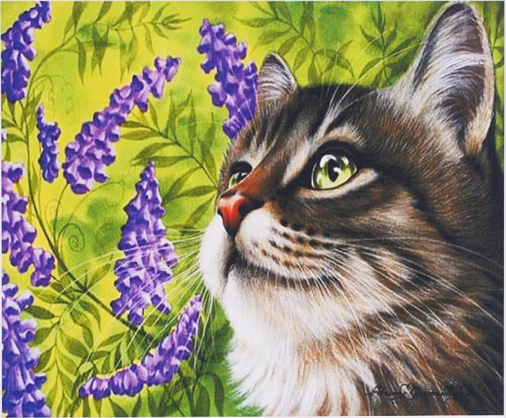 Алмазна мозаїка TK Group Котик 20 кольорів 30х40 см (GB 7356)