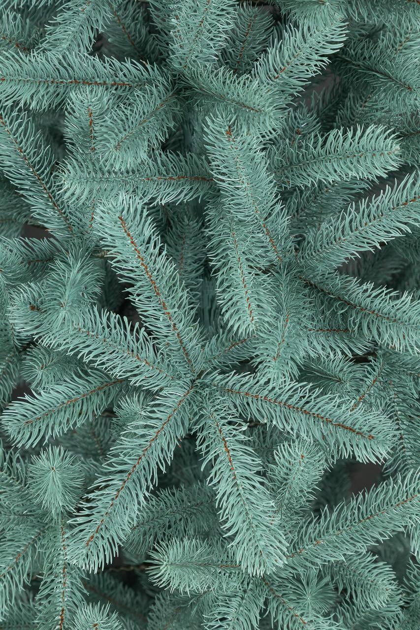 Ялинка лита Siga Group Президентська 2,1 м Блакитний (1497403054) - фото 6