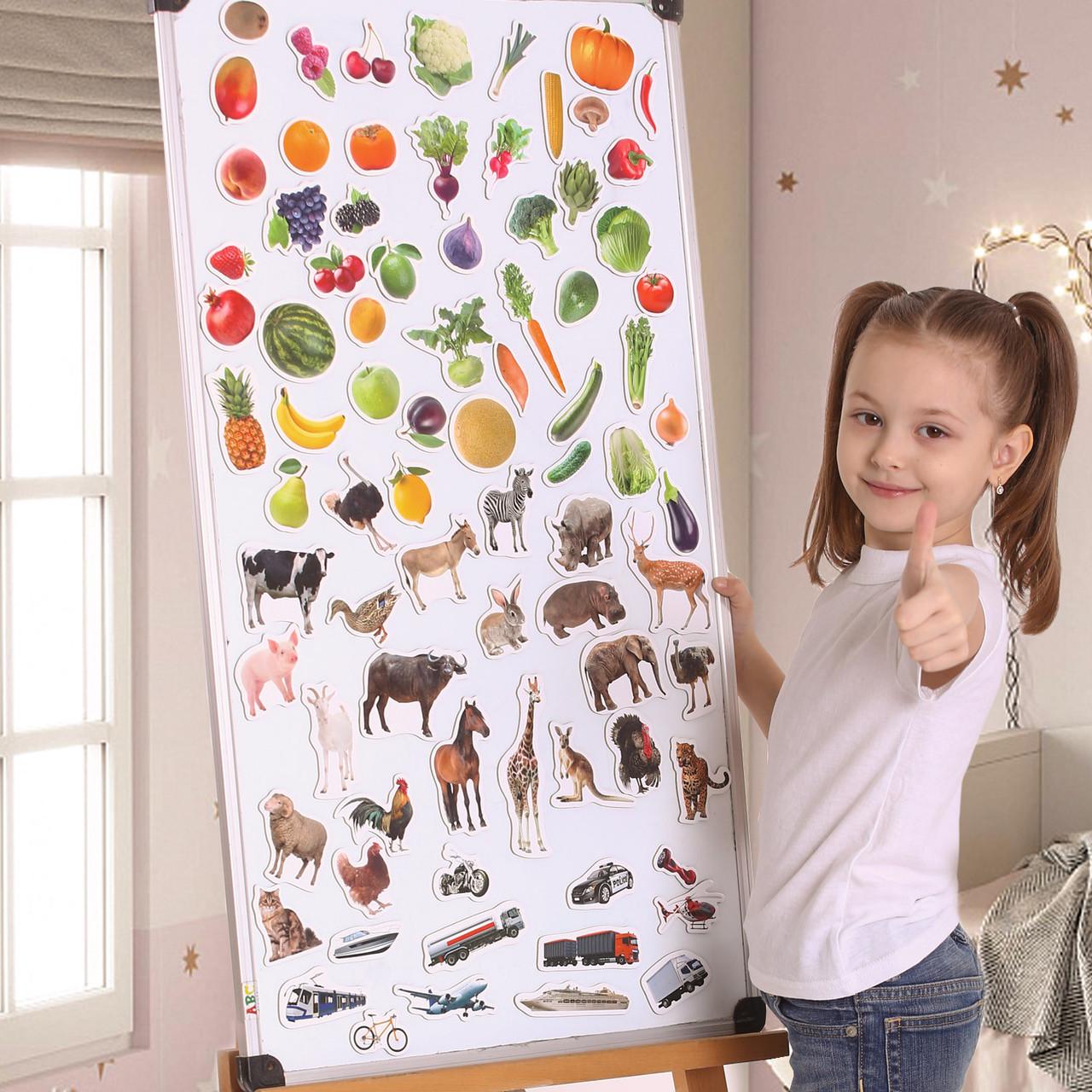 Подарунковий набір магнітів Magdum 110 шт. (ML4031-63 EN) - фото 7