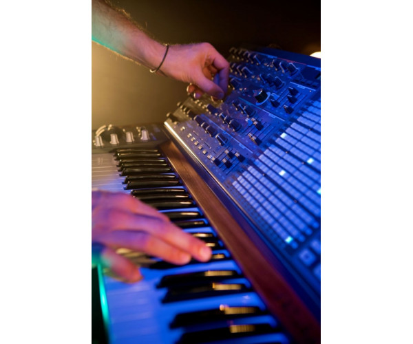 Аналоговый синтезатор Arturia MatrixBrute+Flightcase - фото 5
