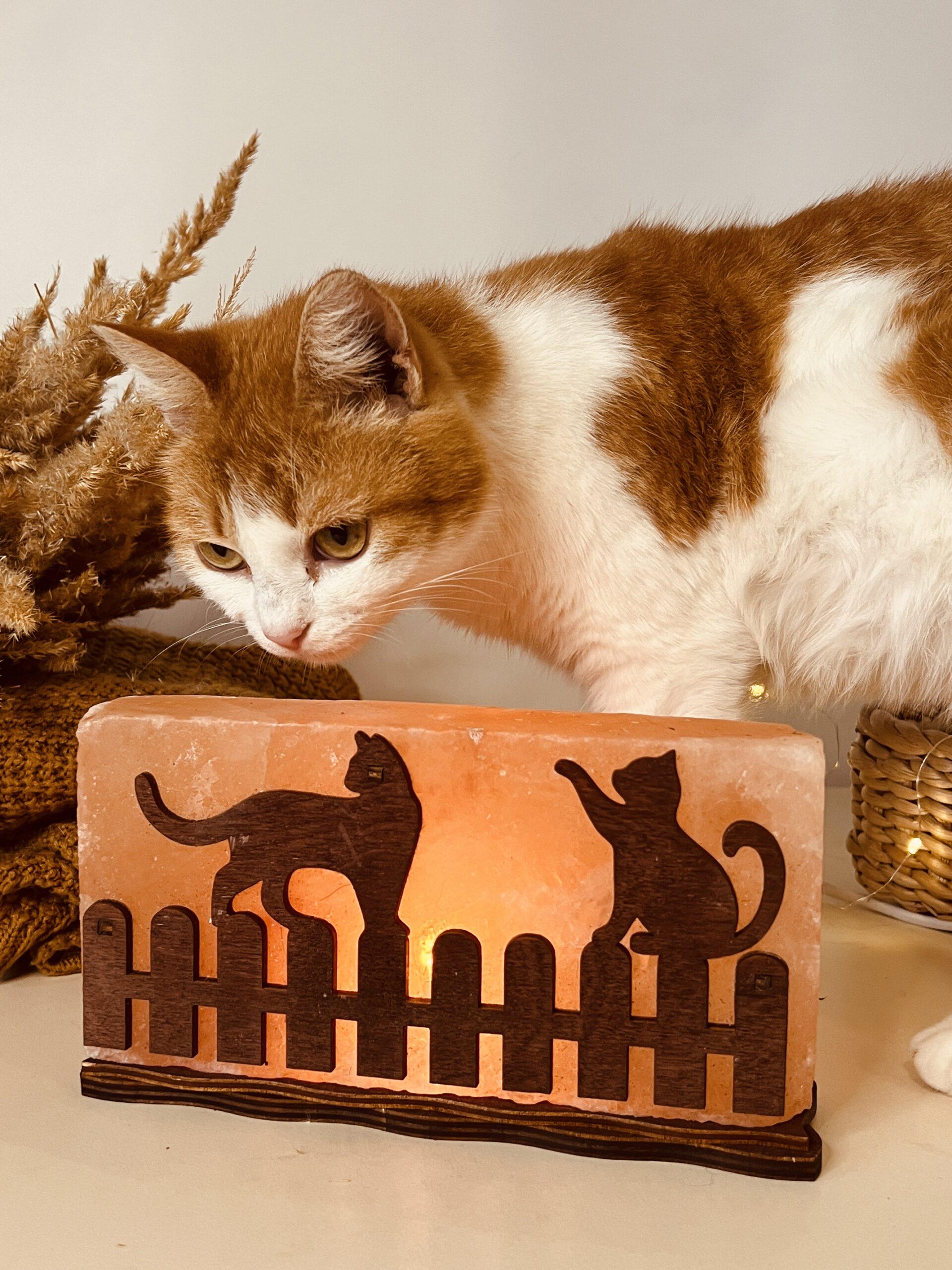 Соляна лампа декоративна Himalayan Коти на паркані 1 кг (29909030) - фото 2