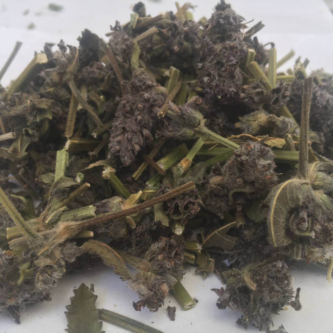 Буквица трава Карпаты 50 г (6299f2c019714973b9283793)