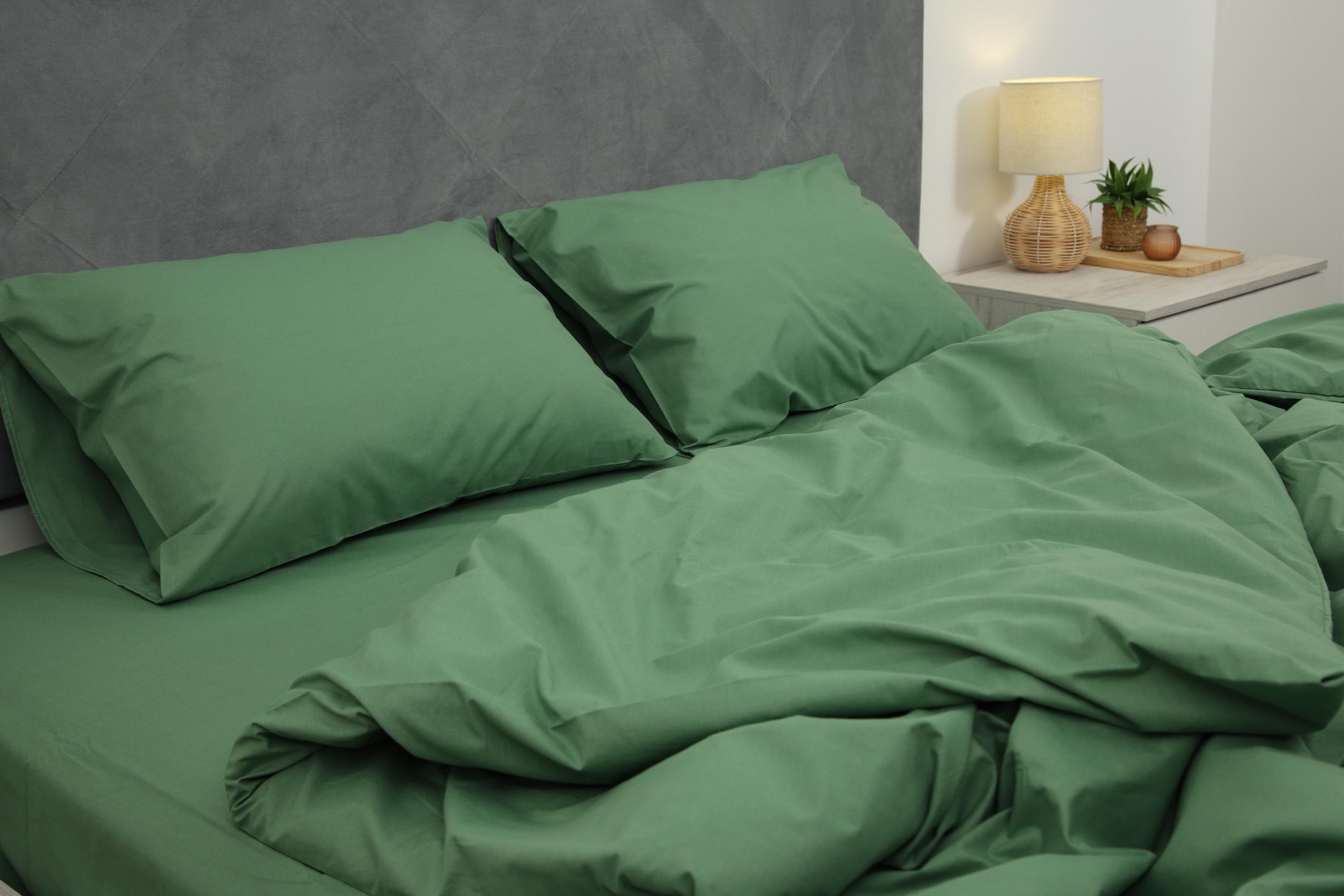 Комплект постельного белья евро Amore 6318 ранфорс Зеленый (KPB-Ae-R-6318(50x70)_) - фото 5 Комплект постельного белья евро Amore 6318 ранфорс Зеленый (KPB-Ae-R-6318(50x70)_) - фото 5