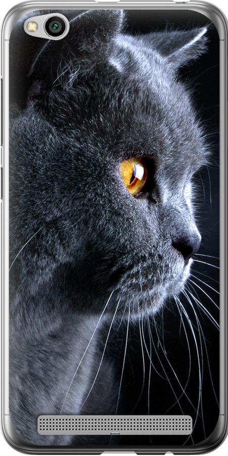 Чехол на Xiaomi Redmi 5A Красивый кот (3038u-1133-42517)