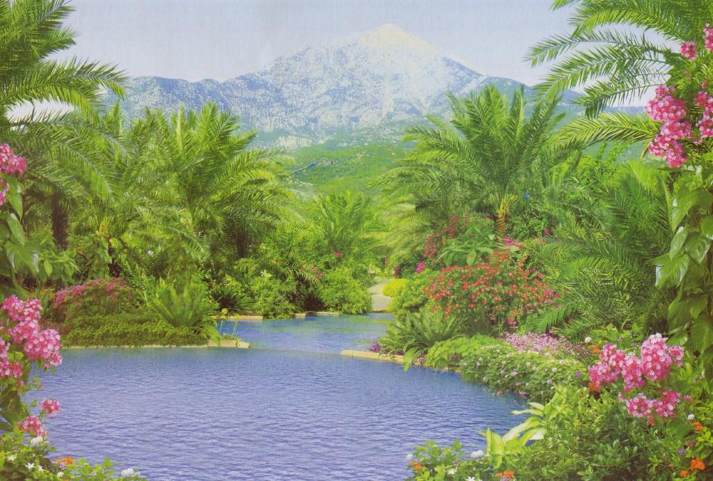 Фотошпалери на паперовій основі Ніка Нірвана 16Л 196х280 см (2000000454412)