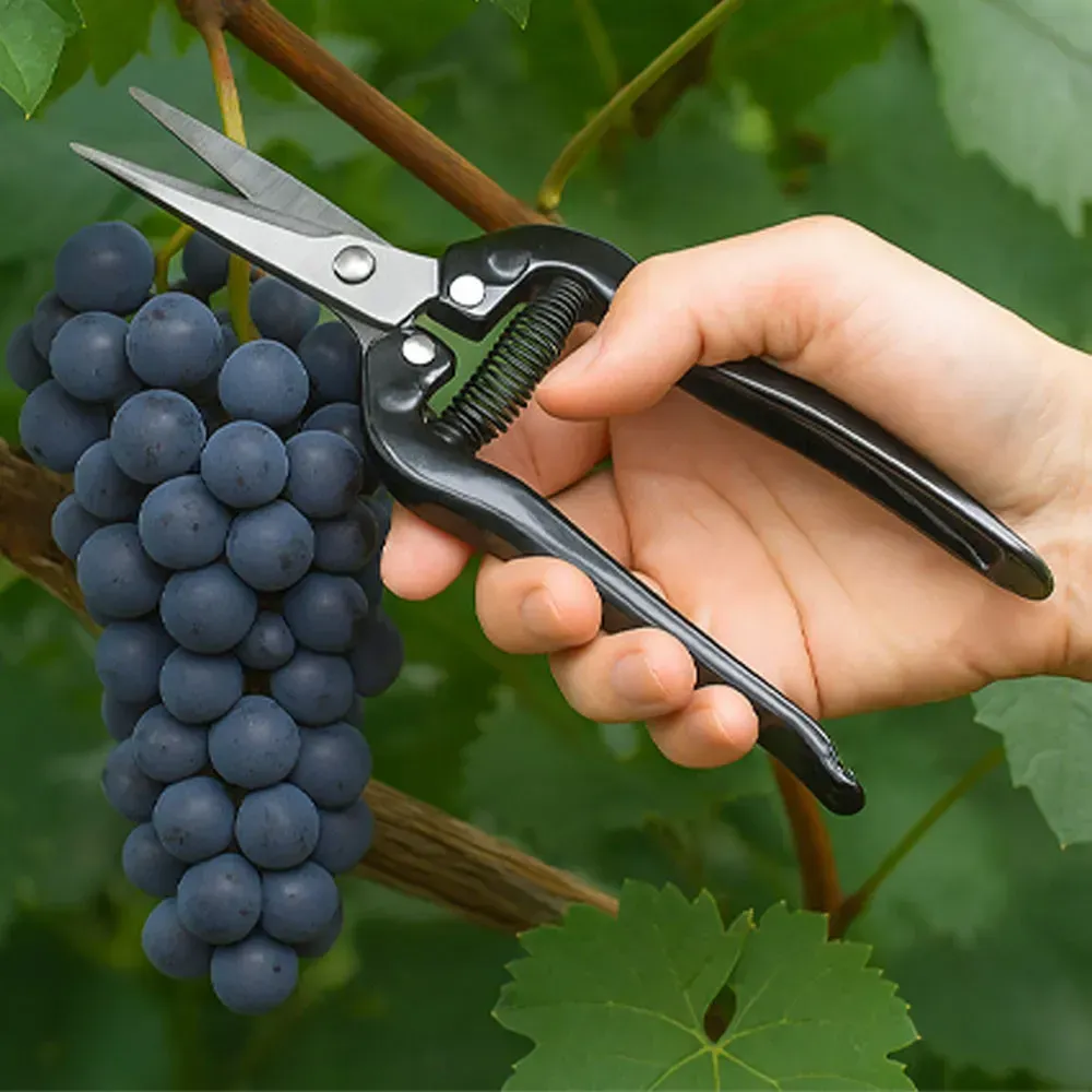 Набор садовых инструментов ножницы/секатор/пилка (30655434) - фото 5 Набор садовых инструментов ножницы/секатор/пилка (30655434) - фото 5