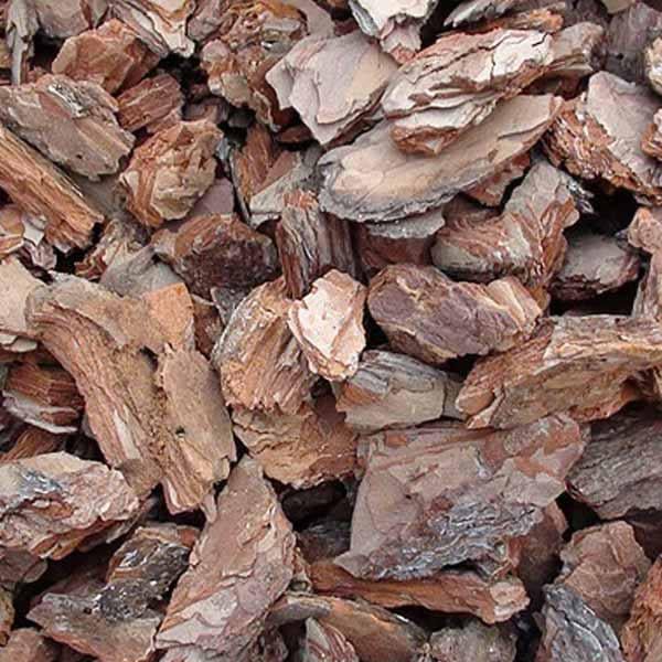 Кора Каменный двор (0035)