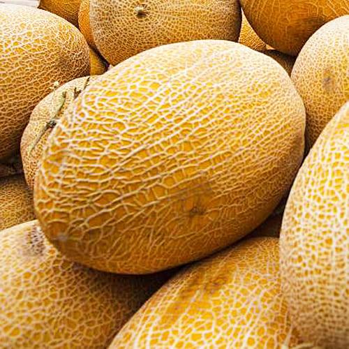 Насіння Диня Florium Амал F1 5 шт. (17543) Насіння Диня Florium Амал F1 5 шт. (17543)