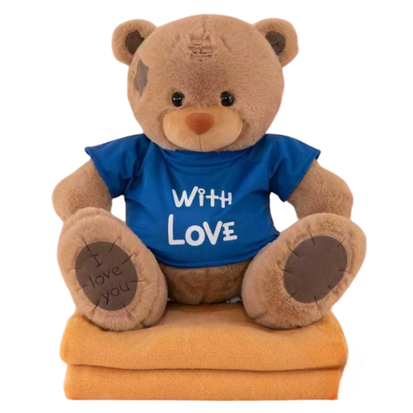Мягкая игрушка с пледом внутри Медвежонок плюшевый С любовью Коричневый Мягкая игрушка с пледом внутри Медвежонок плюшевый С любовью Коричневый