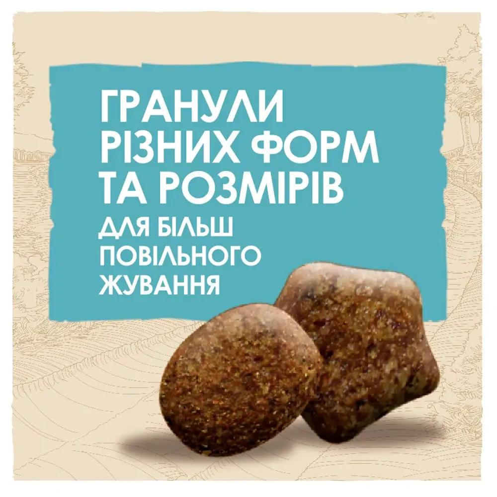 Сухой корм для щенков всех пород Dog Chow Puppy Lamb ягненок 14 кг (7613034487872) - фото 5 Сухой корм для щенков всех пород Dog Chow Puppy Lamb ягненок 14 кг (7613034487872) - фото 5