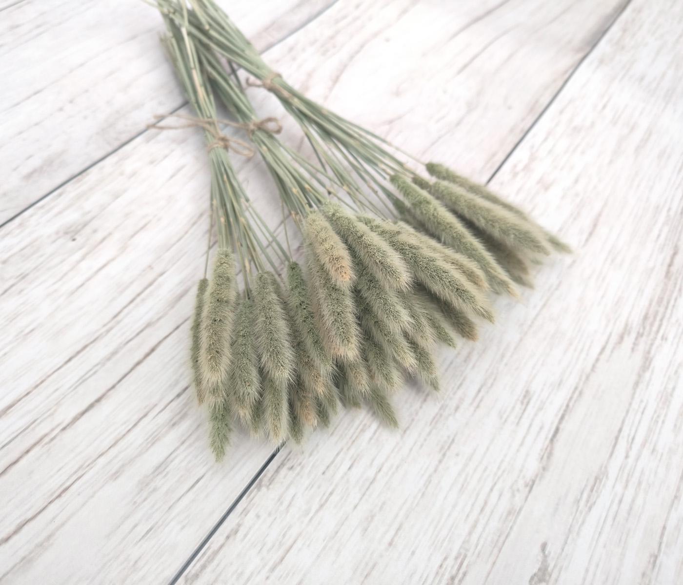 Сухоцвіт поліпогон натуральний. 20 шт. (2688285474)