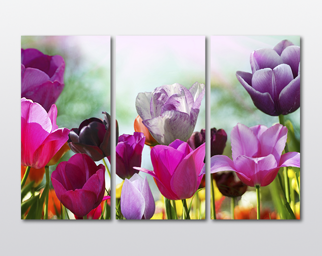 Модульная картина KIL Art Оттенки фиолетового из трех частей 128x81 см (M3_L_148)