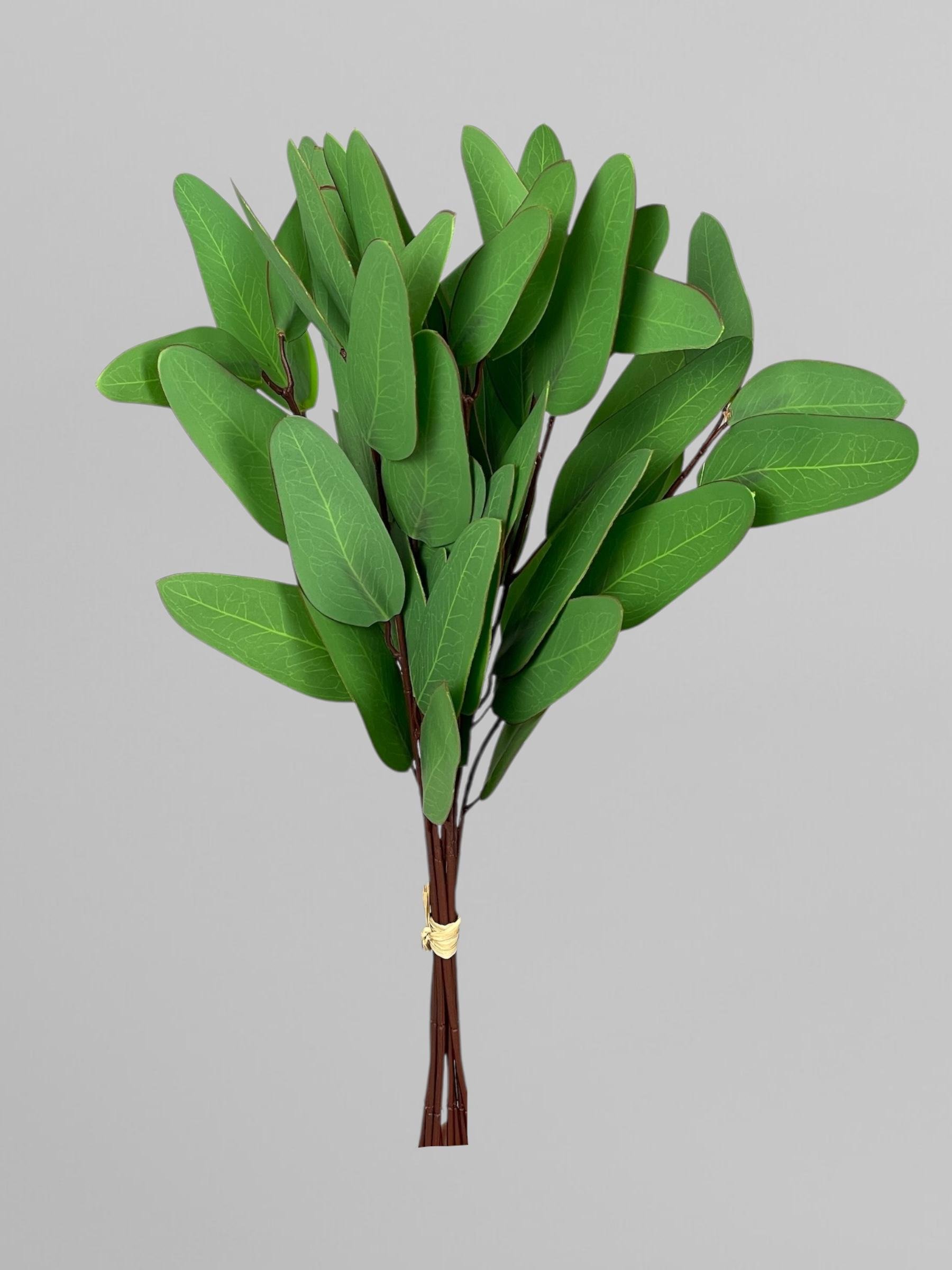 Штусный пучок эвкалипта Популус на 8 веточек 35 см Зеленый (Р03006)