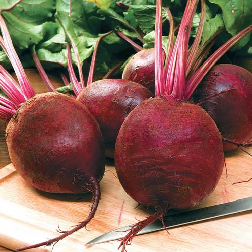 Семена Свекла Florium Подзимняя (17214)