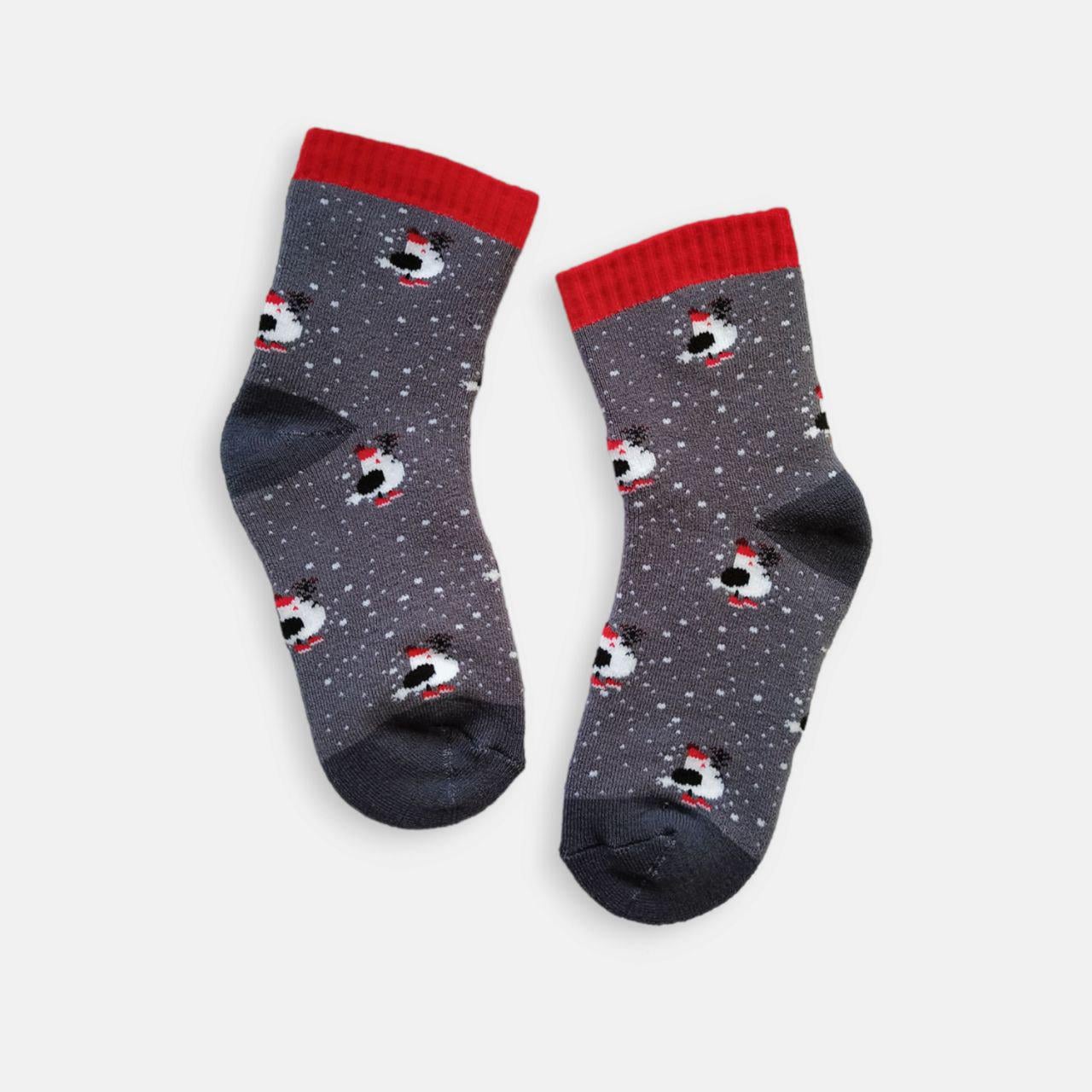 Носки детские махровые TwinSocks р. 22-24 Снегири Серый (12656881) Носки детские махровые TwinSocks р. 22-24 Снегири Серый (12656881)