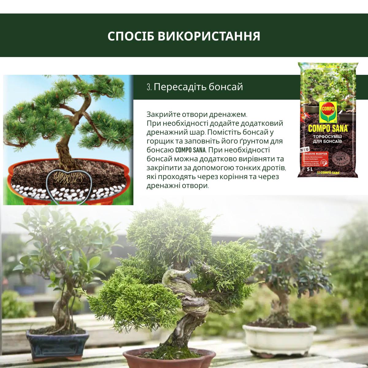 Торфосуміш для бонсаїв Compo SANA 5 л (A-013932) - фото 8 Торфосуміш для бонсаїв Compo SANA 5 л (A-013932) - фото 8