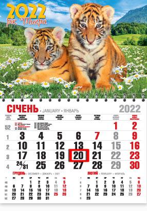 Календарь настенный квартальный МАРКО на 2022 год офисный эконом Символ года (еко56 2022)