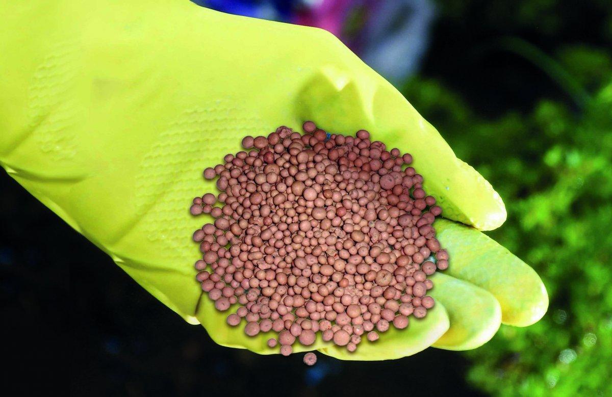 Добриво Нітроамофоска Насіння країни 1 кг (288160053) - фото 2 Добриво Нітроамофоска Насіння країни 1 кг (288160053) - фото 2