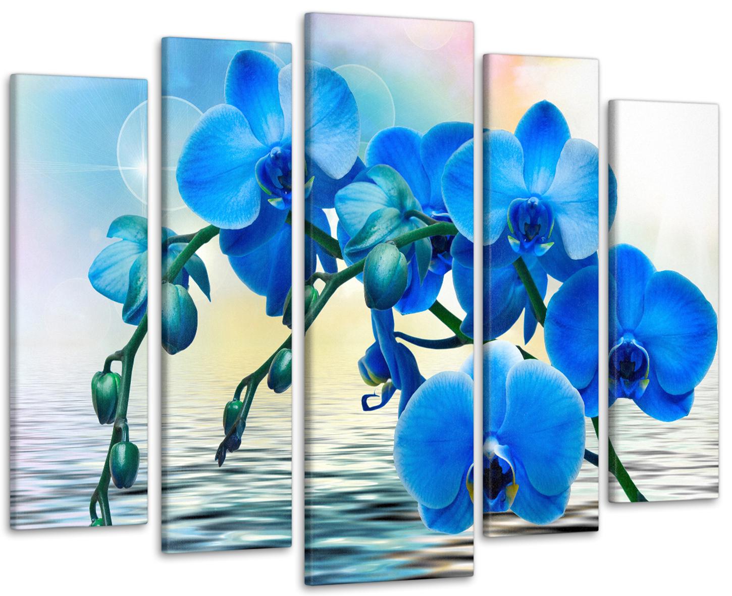 Картина модульная Синяя орхидея 90х132 см (Art-264_5)