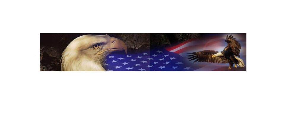 Наклейка на лобове скло ARB 3D TUNING STUDIO Орел прапор Америки 1300х210х0,15 мм (14522)