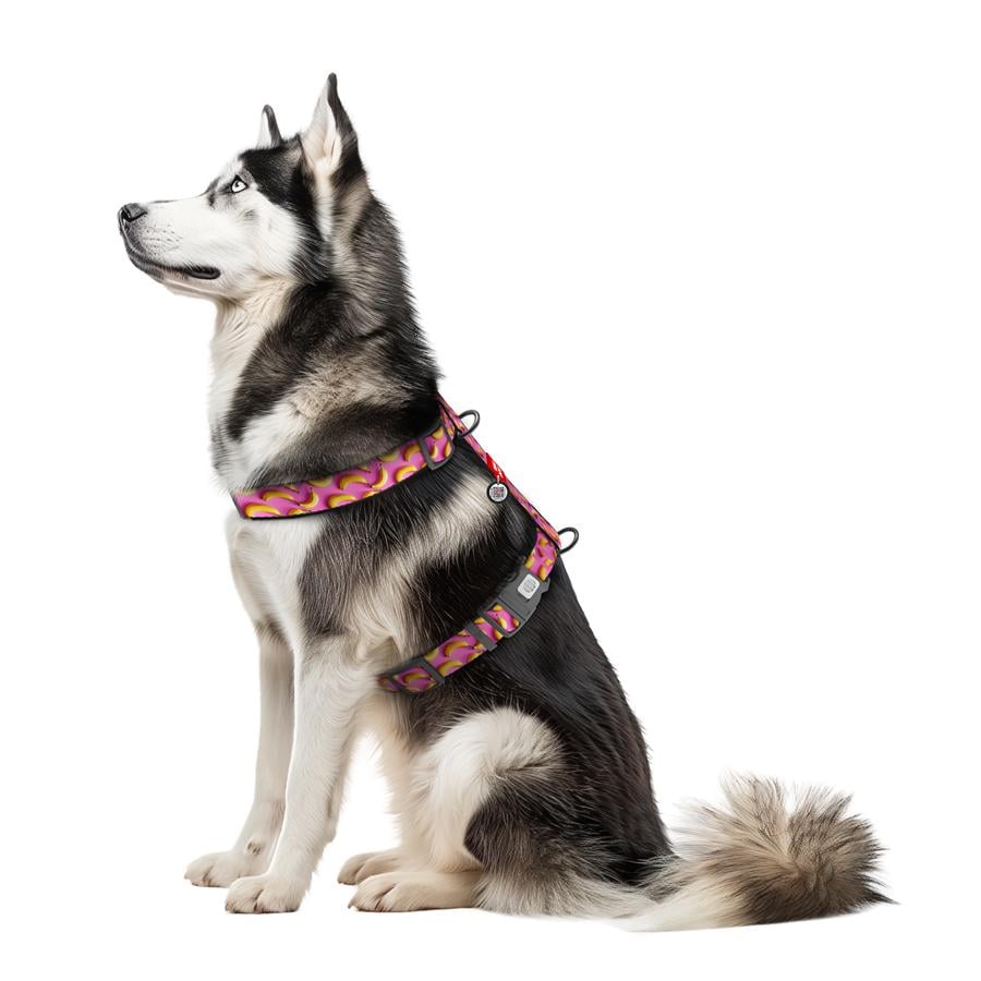 Шлейка для собак с QR-паспортом Waudog Nylon Бананы анатомическая H-образная с пластиковым фастексом XL 35 мм A 60-100 см/B 70-100 см Pink (347-4055) - фото 3