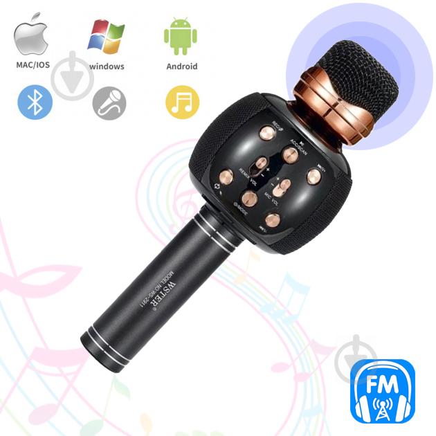 Караоке микрофон с колонкой и FM радио беспроводной вокальный портативный Bluetooth Wster Karaoke WS-2911 Черный