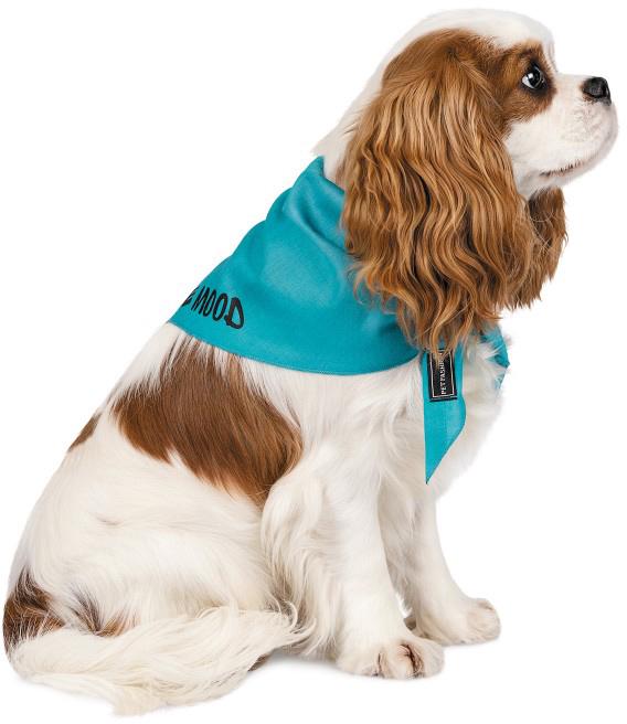 Бандана Pet Fashion Weekend M-XL Голубой (4823082421138) - фото 2 Бандана Pet Fashion Weekend M-XL Голубой (4823082421138) - фото 2