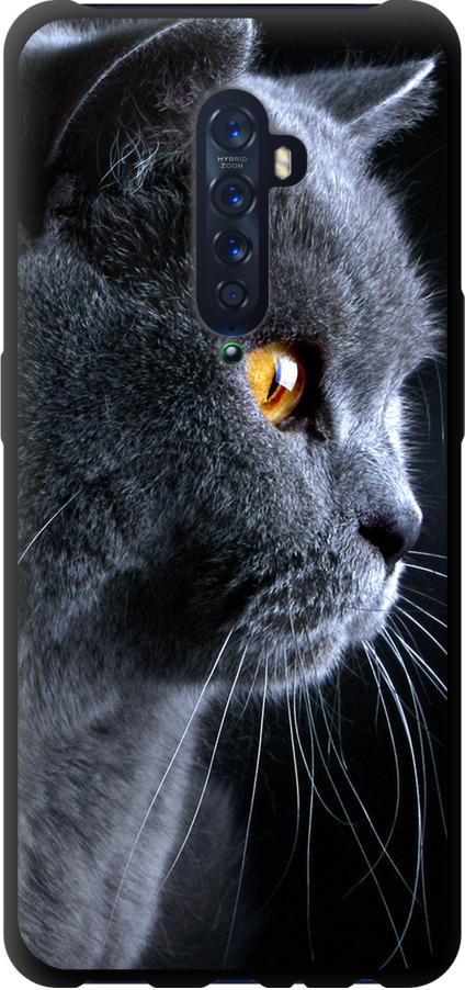 Чехол на Oppo Reno 2 Красивый кот (3038b-1864-42517) Чехол на Oppo Reno 2 Красивый кот (3038b-1864-42517)