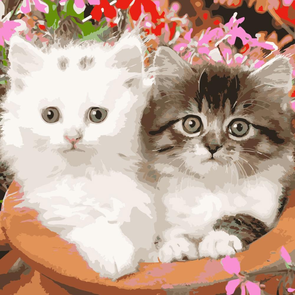 Картина за номерами Strateg Преміум Біле та сіре кошеня 40x40 см (Str-SK039)