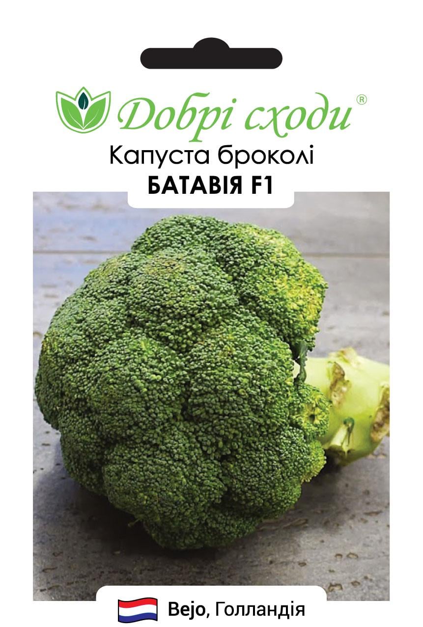 Семена капуста Батавия F1 Добрі Сходи 20 шт. (01080002)