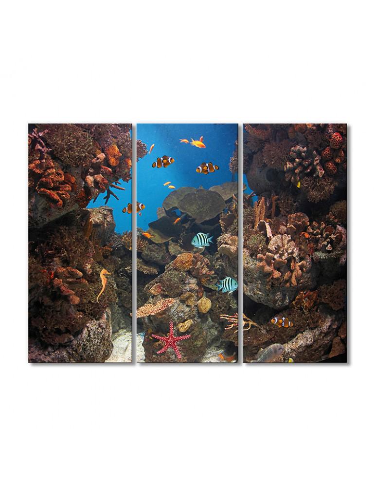 Картина модульная 3 модуля Рыбки в кораллах 50x75 см