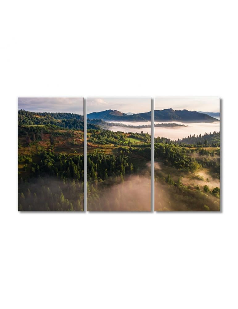 Картина модульная Пейзаж Лес в тумане 3 модуля 60x90 см