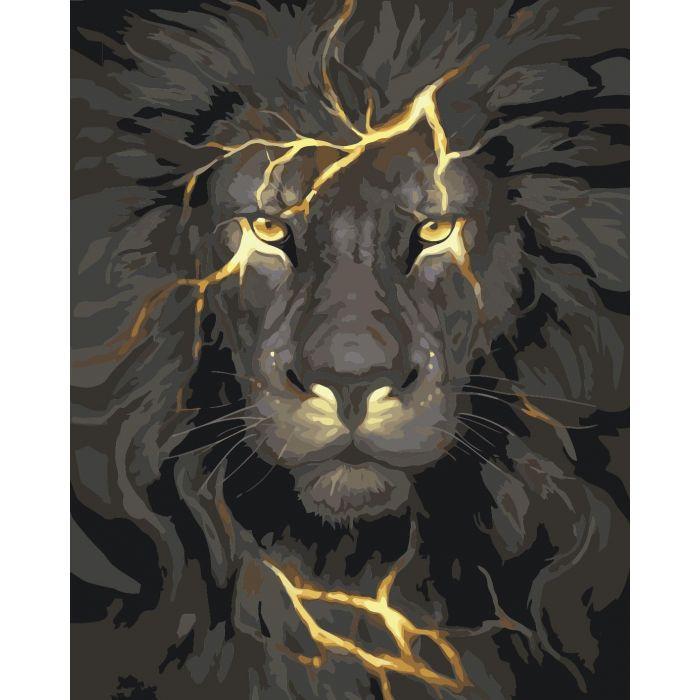 Картина по номерам Идейка Огненный свет 40x50 см (skl-КНО4078)