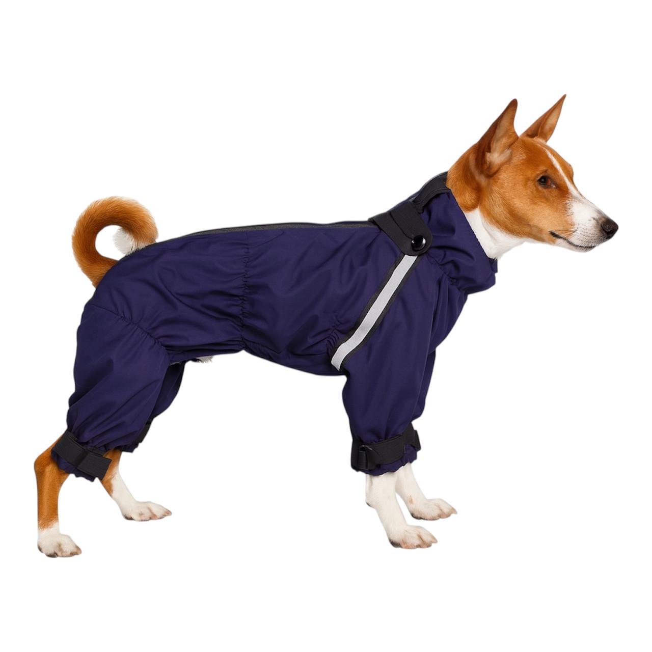 Дождевик для собак для мальчиков Diego Rain Print р. 4 (124181904)