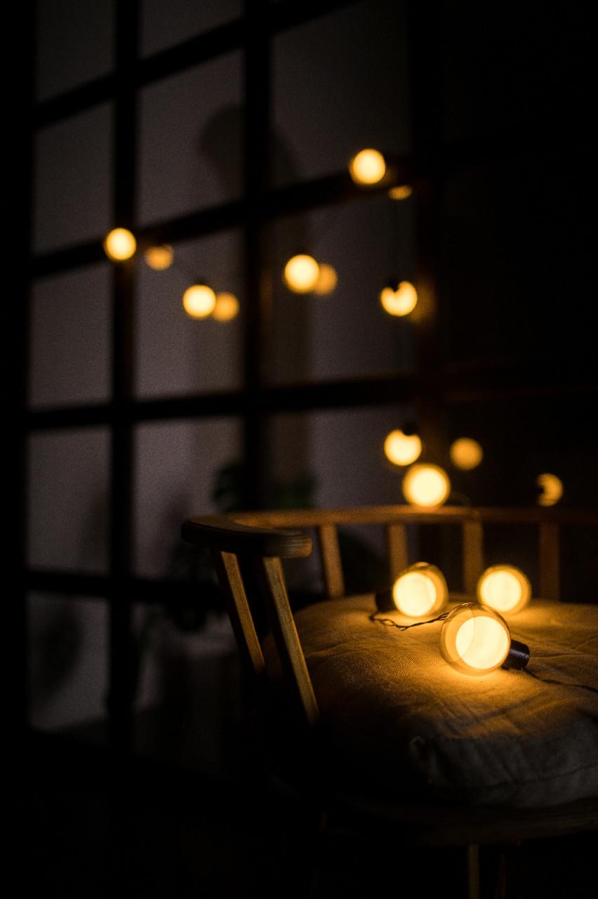 Гирлянда Шар RD-248 10 LED 3x2 м Теплый белый (8-5-15133)