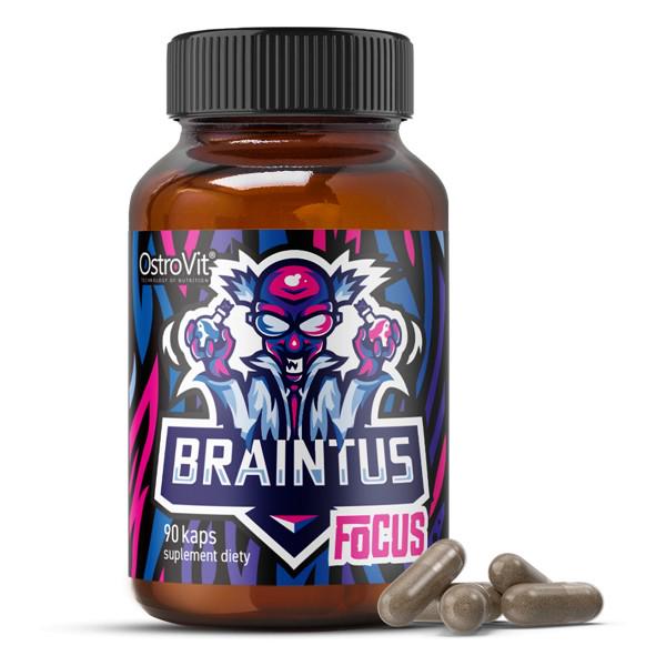 Натуральная добавка OstroVit Braintus Focus 90 капсул