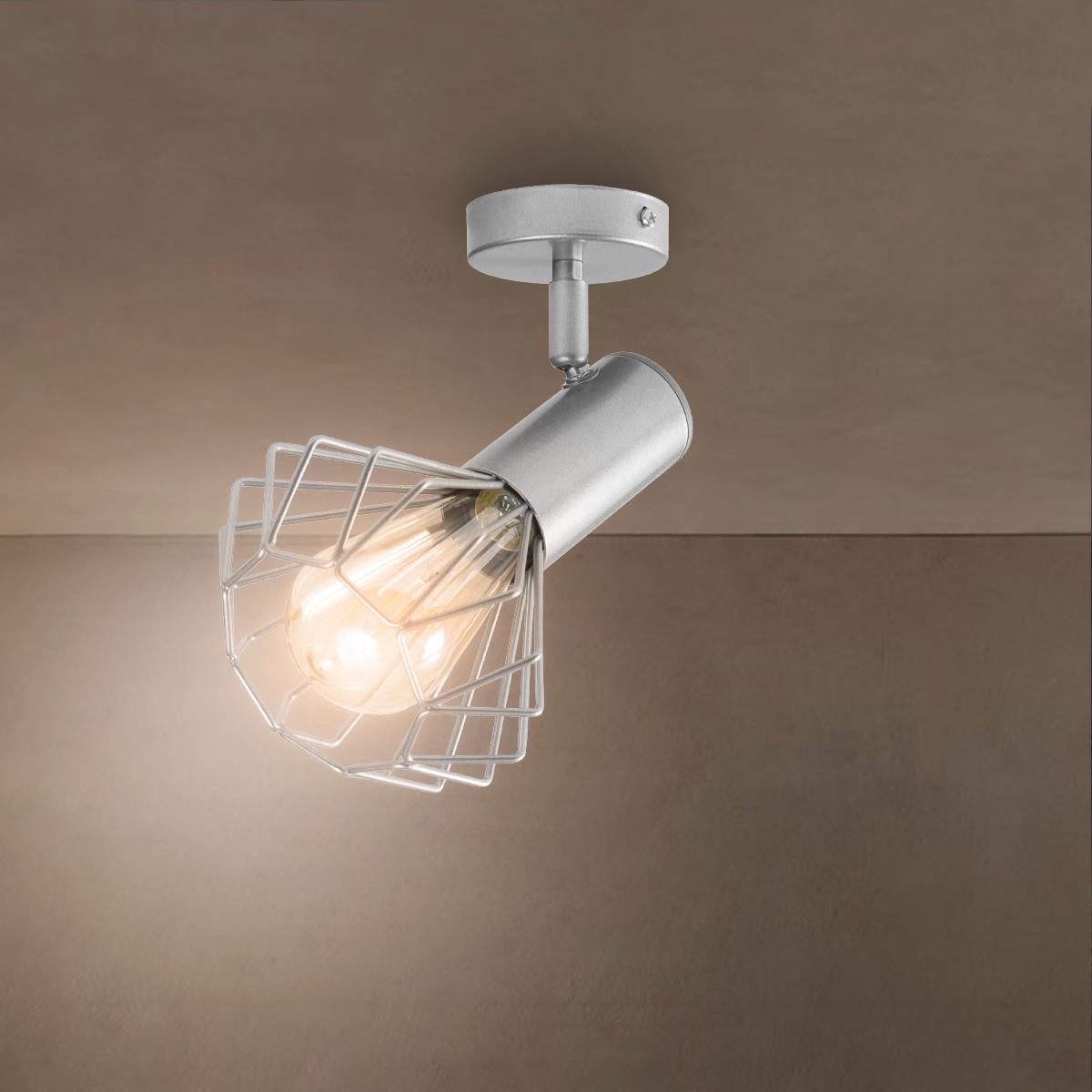 Светильник настенно-потолочный MSK Electric Diadem NL 22151-1 AL