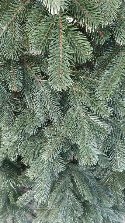 Штучна ялинка лита Елітна з підставкою 2,50 м Зелений (NYT15297) - фото 3 Штучна ялинка лита Елітна з підставкою 2,50 м Зелений (NYT15297) - фото 3