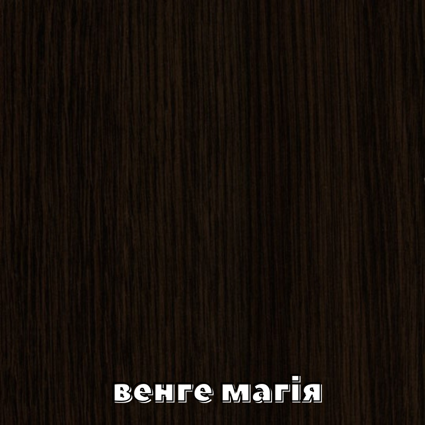 Шкаф Алекса АШ 2-104-22 1000x520x2200 мм Венге магия (278500) - фото 3