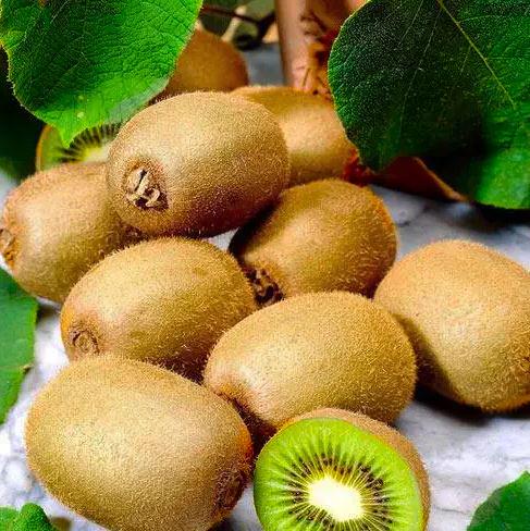 Саджанець ківі Закарпатський (12502176) - фото 2 Саджанець ківі Закарпатський (12502176) - фото 2