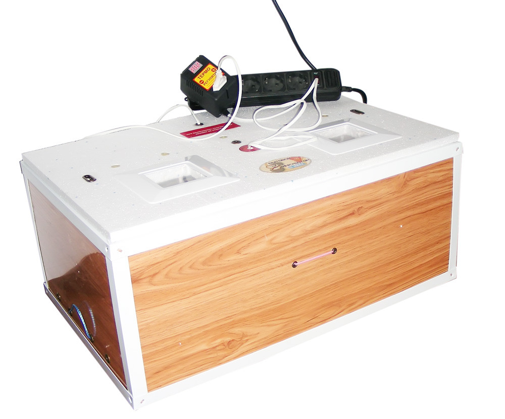 Инкубатор цифровой Курочка Ряба ИБ-100 с металлическим каркасом в пластиковом корпусе на 100 яиц