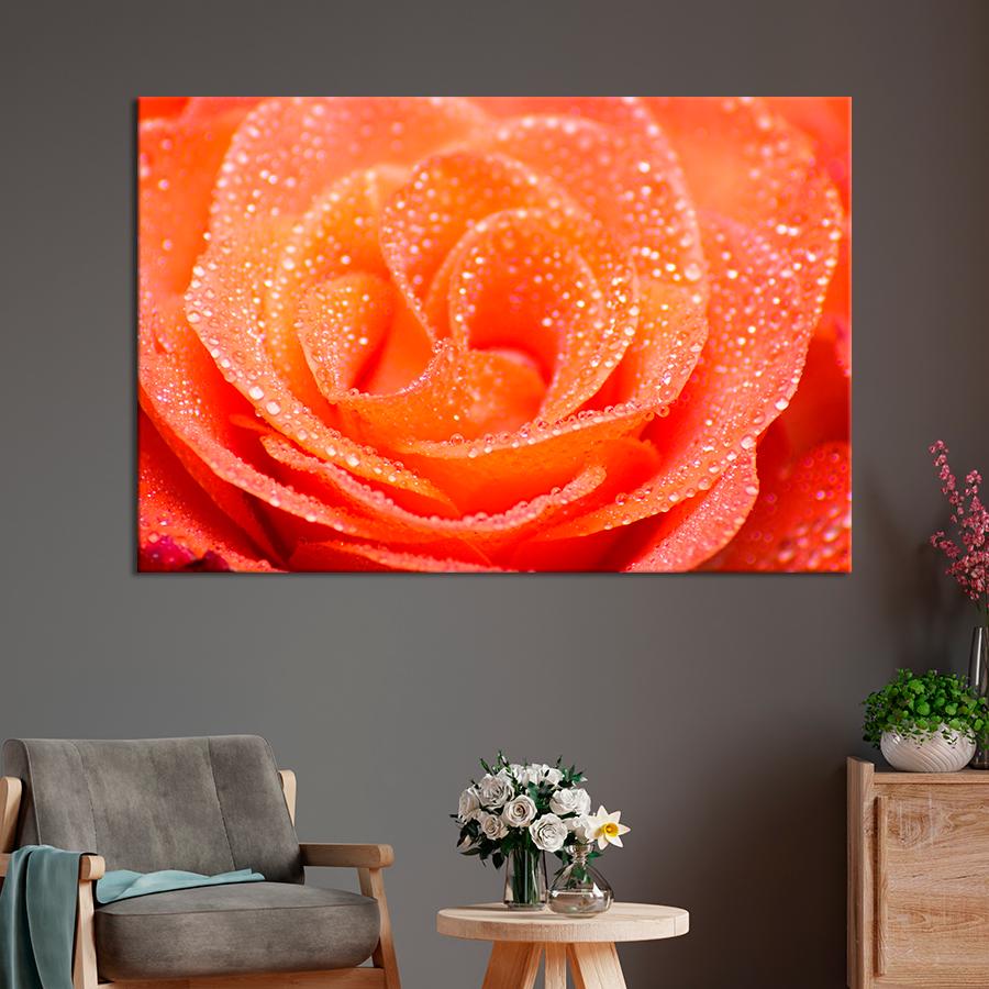 Картина цветы и растения Персиковая роза 80x54 см (A1040-1)