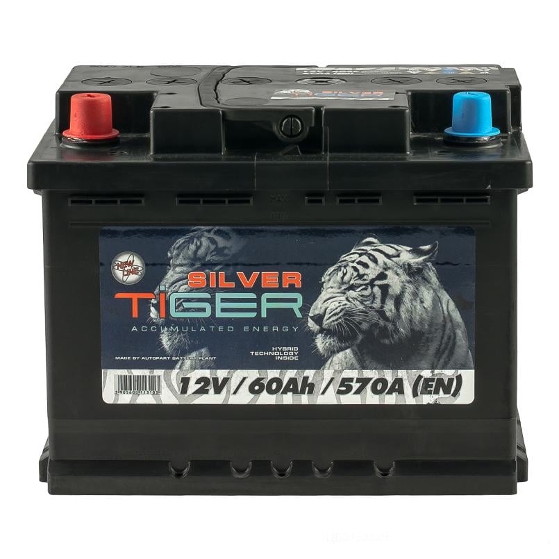 Аккумулятор Tiger 60 Аh/12V Silver (AFS060-S01)