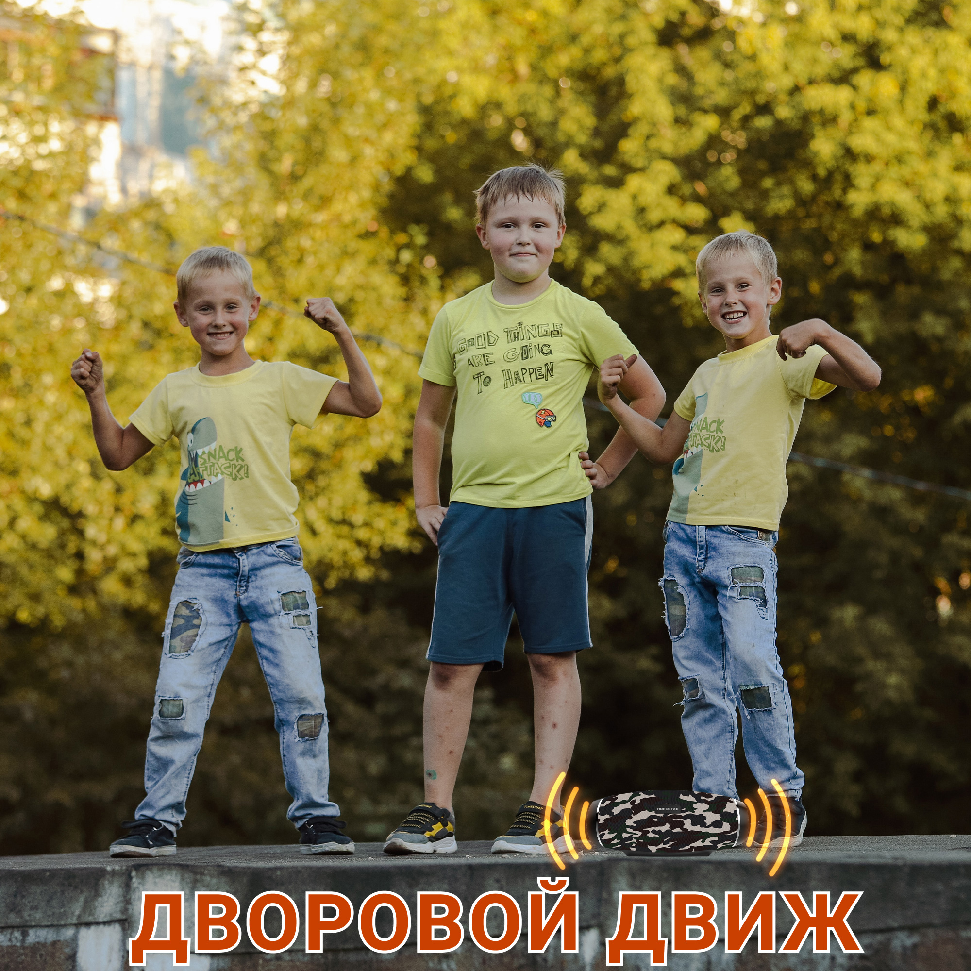 Акустическая система Hopestar PowerBank H27 Камуфляж - фото 13