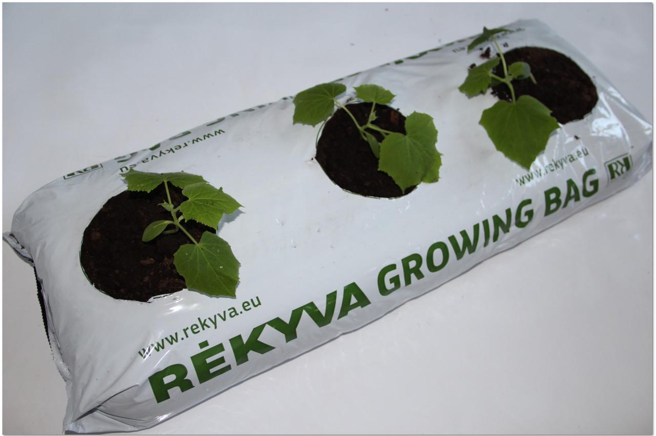 Торфяной субстрат GROWING BAG 45 л (1650291466) - фото 3